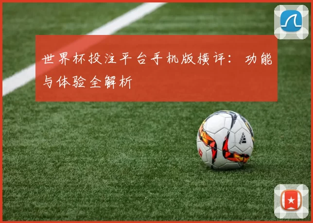 世界杯投注平台手机版横评：功能与体验全解析