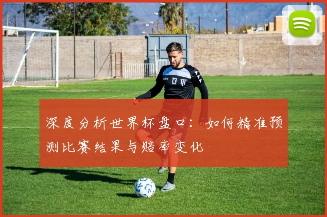 深度分析世界杯盘口：如何精准预测比赛结果与赔率变化