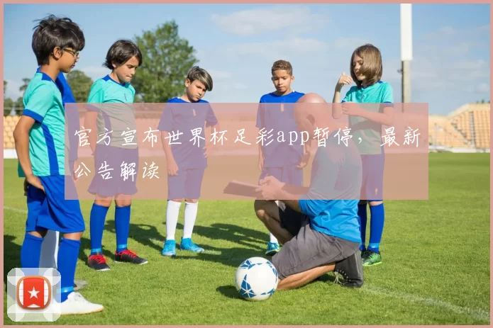 官方宣布世界杯足彩app暂停，最新公告解读