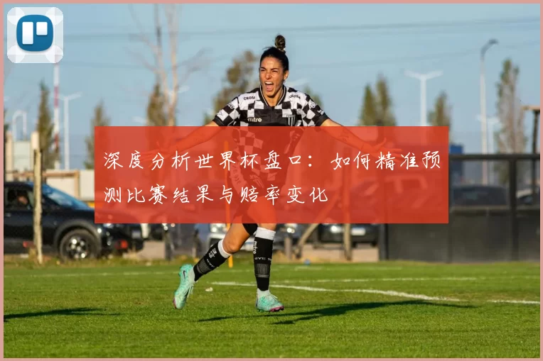 深度分析世界杯盘口：如何精准预测比赛结果与赔率变化