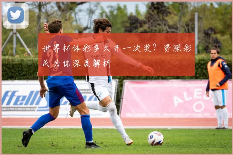 世界杯体彩多久开一次奖?资深彩民为你深度解析