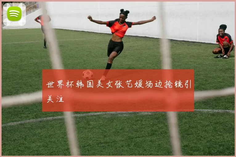 世界杯韩国美女张艺媛场边抢镜引关注