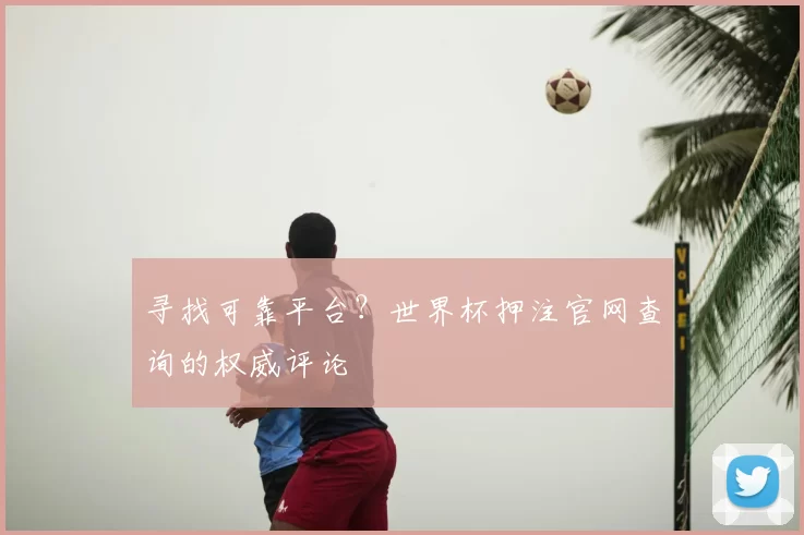 寻找可靠平台？世界杯押注官网查询的权威评论