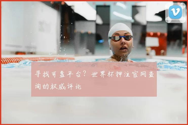 寻找可靠平台？世界杯押注官网查询的权威评论