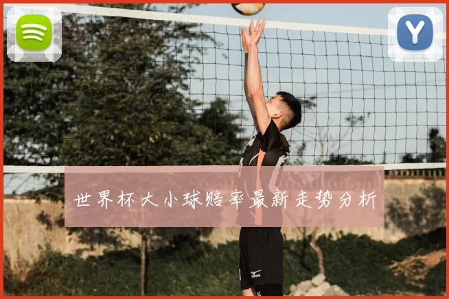 世界杯大小球赔率最新走势分析