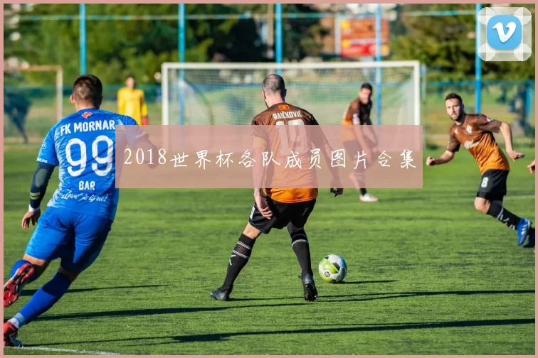 2018世界杯各队成员图片合集