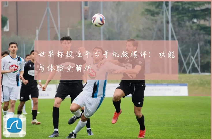 世界杯投注平台手机版横评：功能与体验全解析