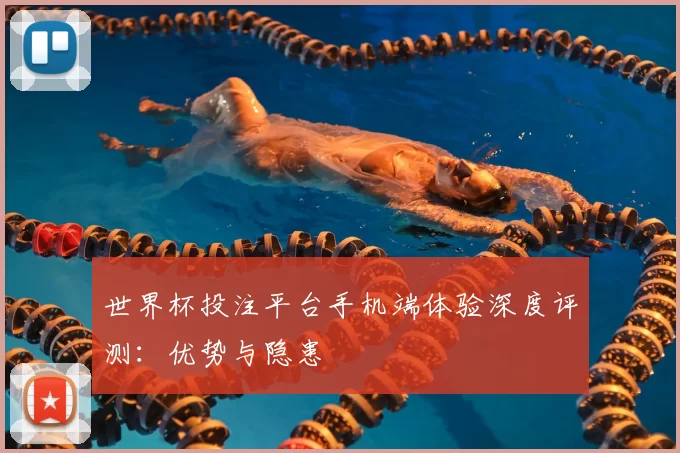 世界杯投注平台手机端体验深度评测：优势与隐患