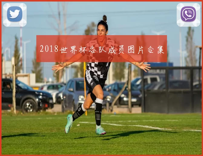 2018世界杯各队成员图片合集