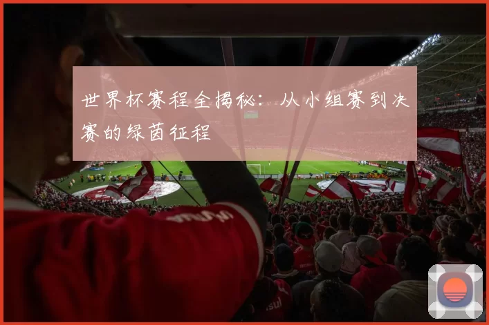 世界杯赛程全揭秘：从小组赛到决赛的绿茵征程